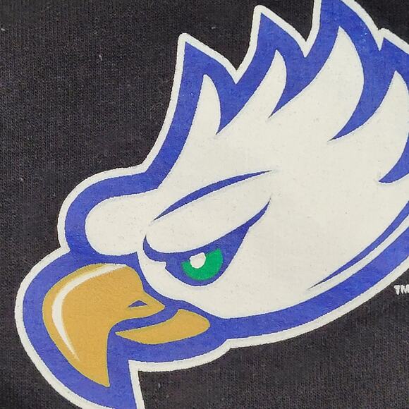 Florida Gulf Coast University Hoodie XS 17x22 Black FCGU - Picture 11 of 13